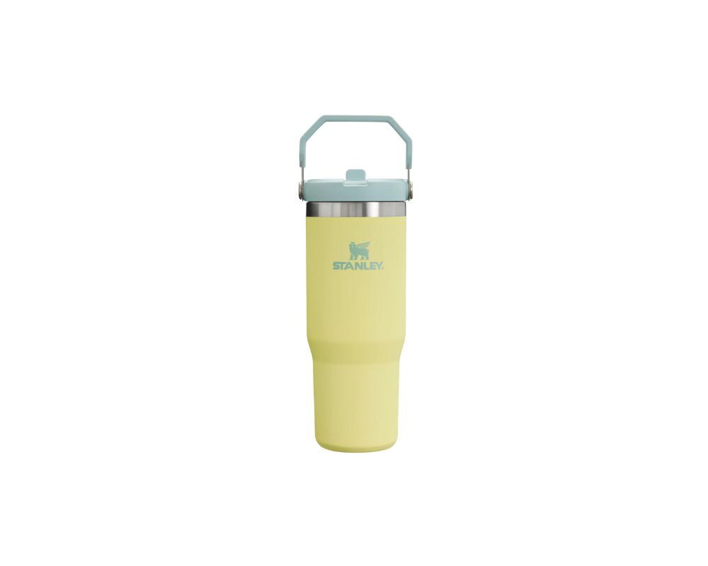 Stanley IceFlow  Straw Tumbler 30 oz