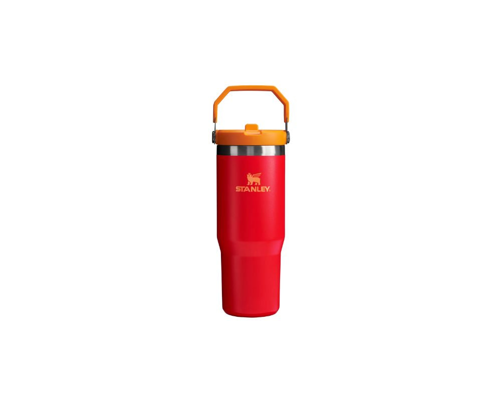 Stanley IceFlow  Straw Tumbler 30 oz