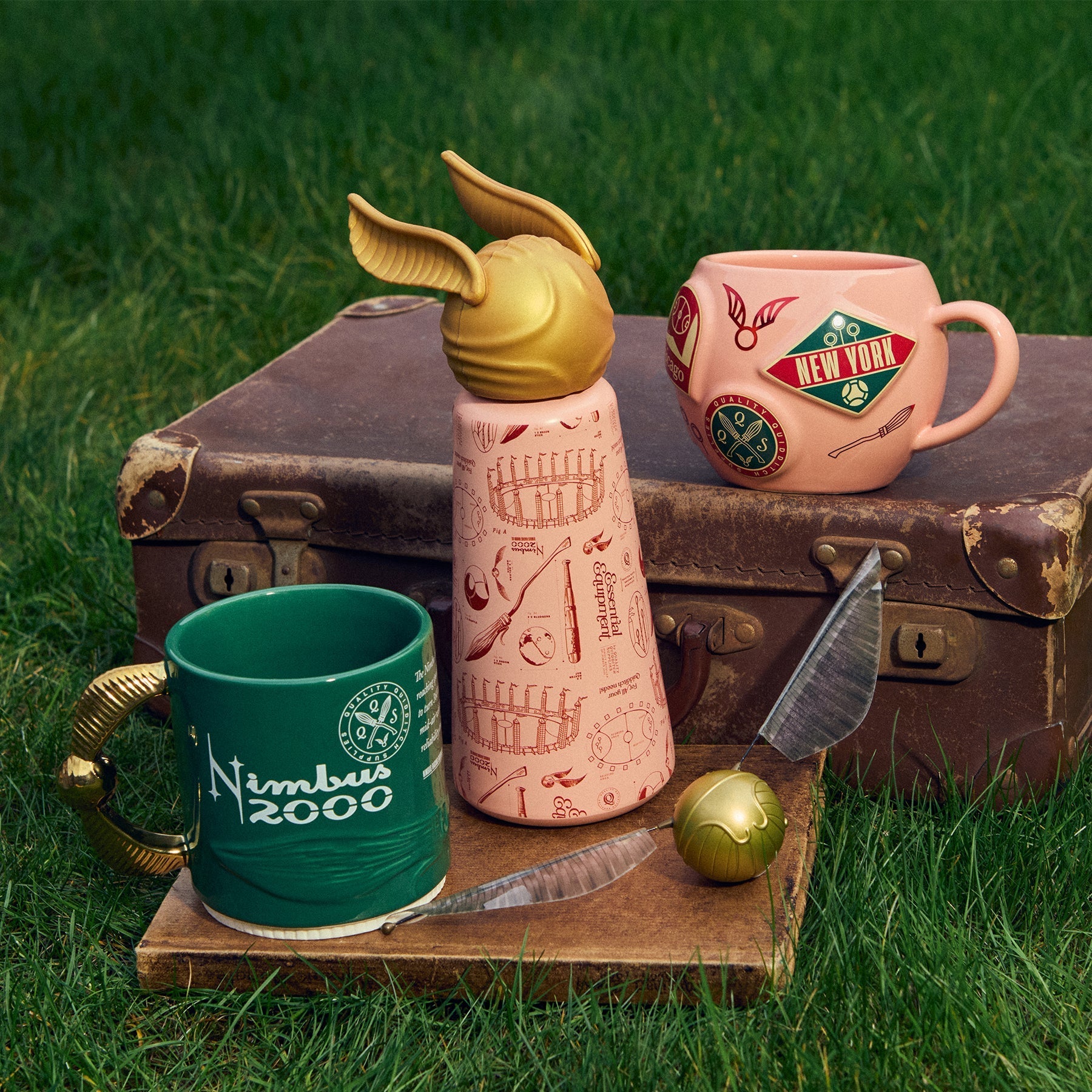 Nimbus 2000 Mug